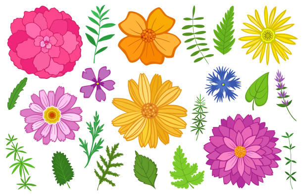 set of flowers and plants - garden decoration stock illustrations