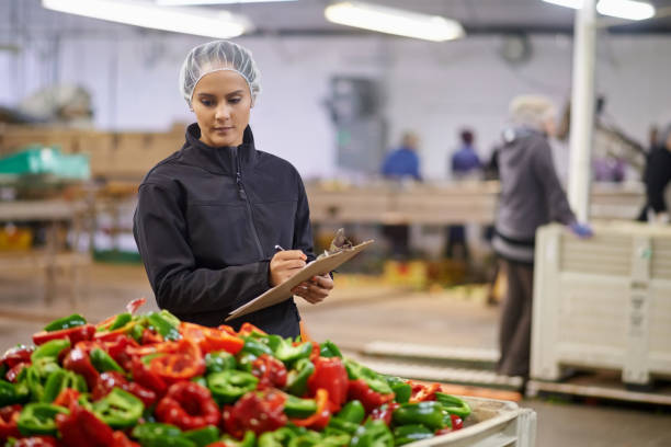 she's got an eye for quality control - food stock pictures, royalty-free photos & images