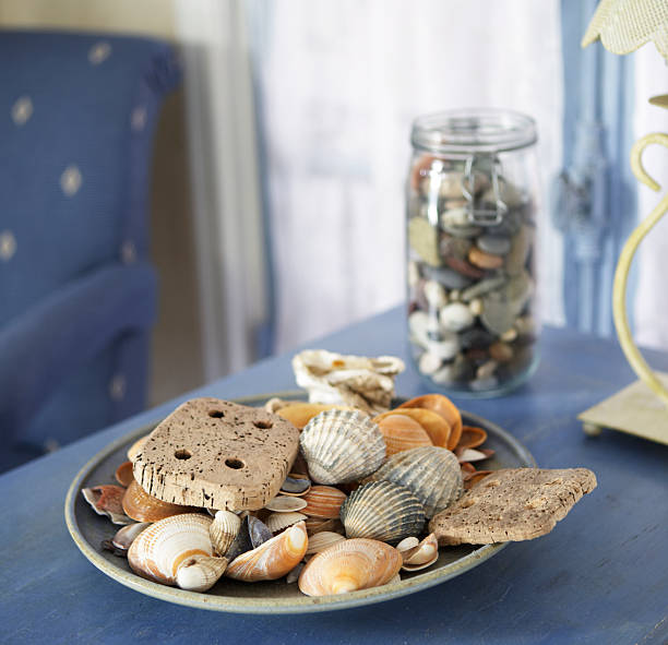 shells on a table close-up - home decoration stock pictures, royalty-free photos & images