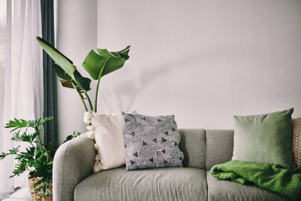 shot of a sofa in the lounge at home - home decoration stock pictures, royalty-free photos & images