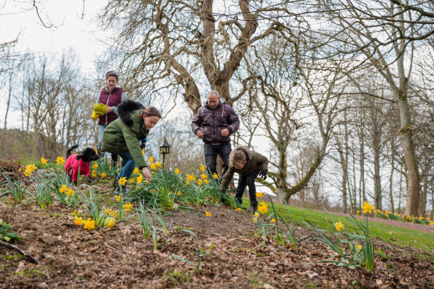 siblings on an easter egg hunt - garden decoration stock pictures, royalty-free photos & images