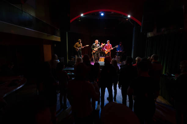 silhouetted audience watching band performing onstage - concert stock pictures, royalty-free photos & images