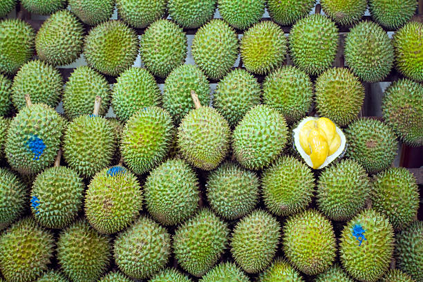 singaporean king of fruits durian - food stock pictures, royalty-free photos & images