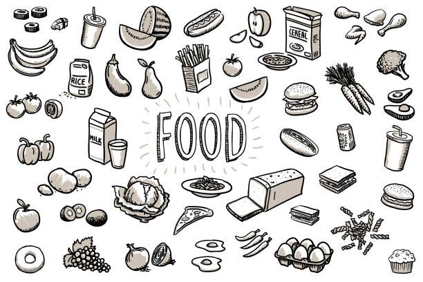 sketchy food drawings vector illustration - food stock illustrations