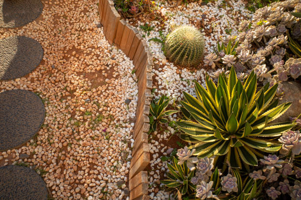 small succulent garden - garden decoration stockfoto's en -beelden