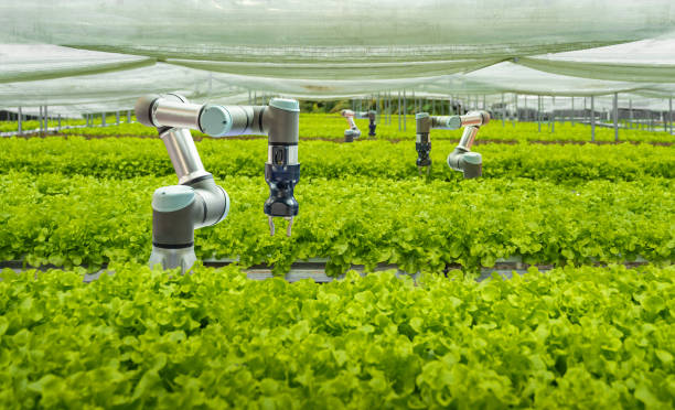 smart farm and automatic robot mechanical arm harvesting vegetables - food stockfoto's en -beelden