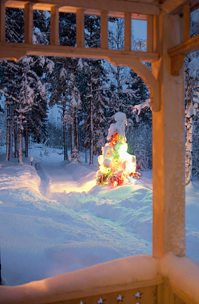 snow covered christmas tree outdoors - garden decoration stock pictures, royalty-free photos & images