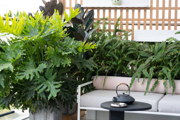 sofas, tables, chairs and green plants on residential balconies - garden decoration stock pictures, royalty-free photos & images