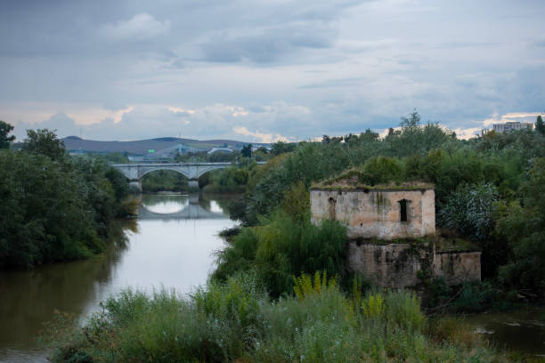 spain, cordoba streets and city images, historical texture. - garden decoration stock pictures, royalty-free photos & images