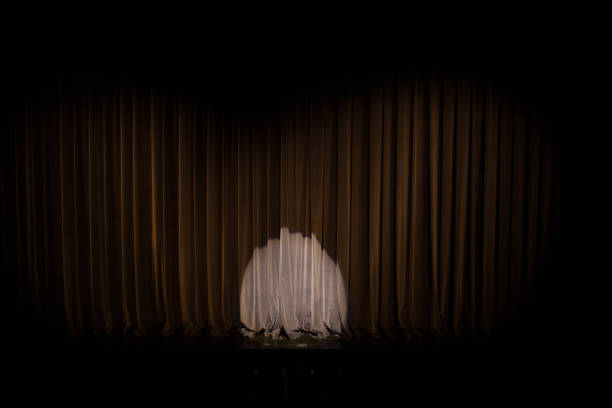 spotlight at stage of concert hall - concert stock pictures, royalty-free photos & images