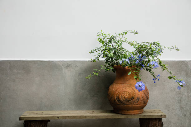 spring flower in a vase against a cement wall - garden decoration stock pictures, royalty-free photos & images