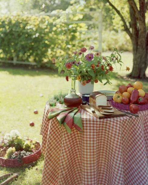 Spur-of-the-moment luncheon in the shade of a big tree with a centerpiece of zinnias.