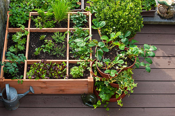 Square foot gardening by planting flowers, herbs and vegetables in wooden box on balcony.