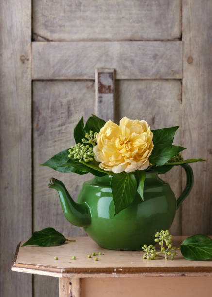 still life with fresh yellow english rose flower and ivy blossom in an old vintage green enamel teapot. - garden decoration stock pictures, royalty-free photos & images