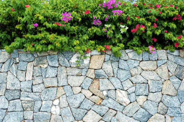 stone wall with tropical floral copy space scene - garden decoration stock pictures, royalty-free photos & images