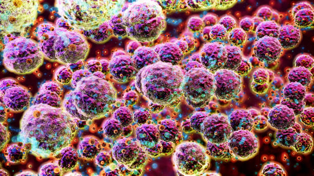 streptococcus. - food stock pictures, royalty-free photos & images