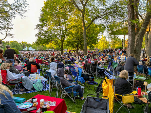 summer concert - concert stock pictures, royalty-free photos & images