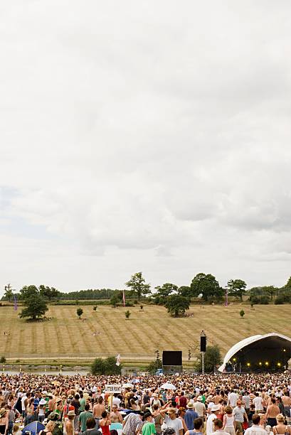 summer festival - concert stock pictures, royalty-free photos & images