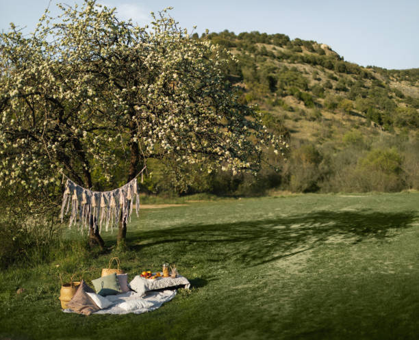 summer healthy vegetarian picnic in park. fruits, cacao, honey pancakes and organic granola on linen tablecloth decorated with pillows and wicker basket. - garden decoration stock pictures, royalty-free photos & images