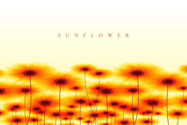 summer meadow with sunflowers, watercolor painting - garden decoration stock illustrations