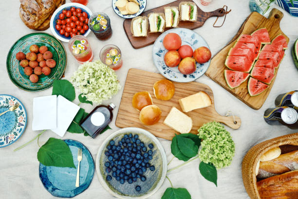 summer picnic on blanket with food and fruit - food photos et images de collection