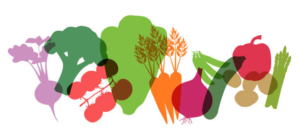 supermarket vegetables - food stock illustrations