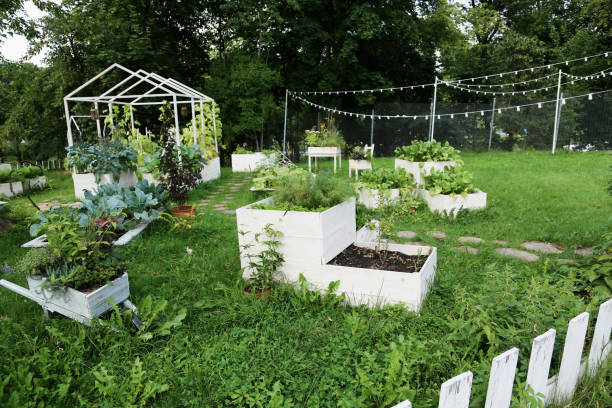 sustainable lifestyle. small farmer garden with homegrown produce and plants - garden decoration stock pictures, royalty-free photos & images
