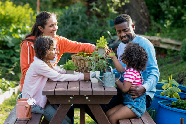 temps d’allocation familial - garden decoration photos et images de collection