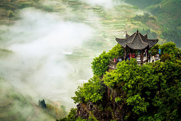 terraced fields - travel stock pictures, royalty-free photos & images