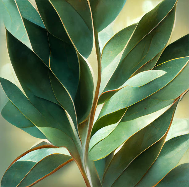texture of green eucalyptus leaves - garden decoration stock pictures, royalty-free photos & images