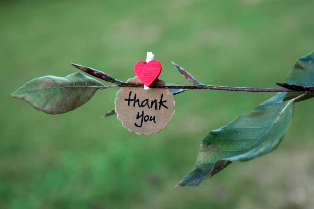 thank you with love - garden decoration stock pictures, royalty-free photos & images