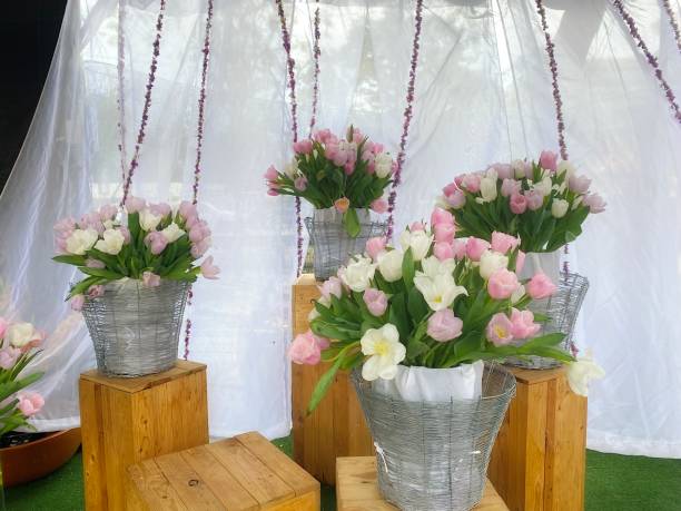 the beauty of tulips arrangement and display. - garden decoration stock pictures, royalty-free photos & images