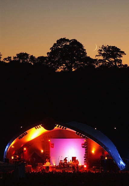 the big chill - day three - concert stock pictures, royalty-free photos & images