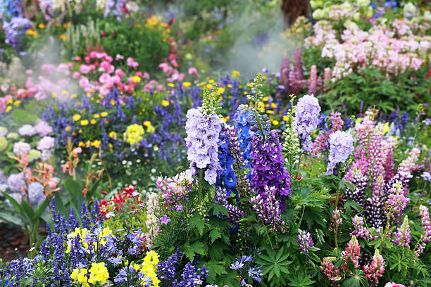the garden is full of beautiful flowers - garden decoration stock pictures, royalty-free photos & images
