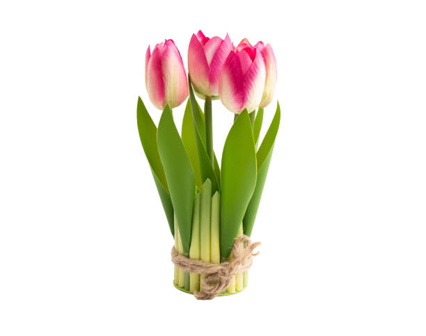 the pink artificial tulip flowers for home decor - garden decoration stock pictures, royalty-free photos & images