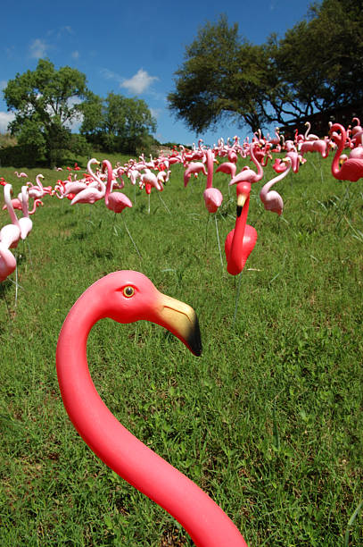 there goes the neighborhood - again! - garden decoration stock pictures, royalty-free photos & images