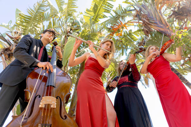 three musicians in red dress and one musician in black suit under palm trees. - concert stock pictures, royalty-free photos & images