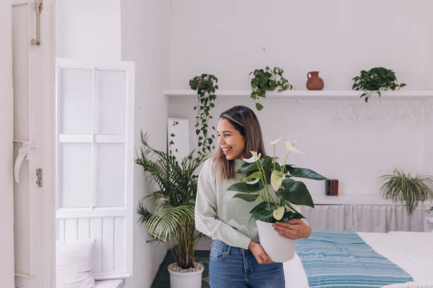 three quarter length of a woman smiling with a plant - home decoration stock pictures, royalty-free photos & images