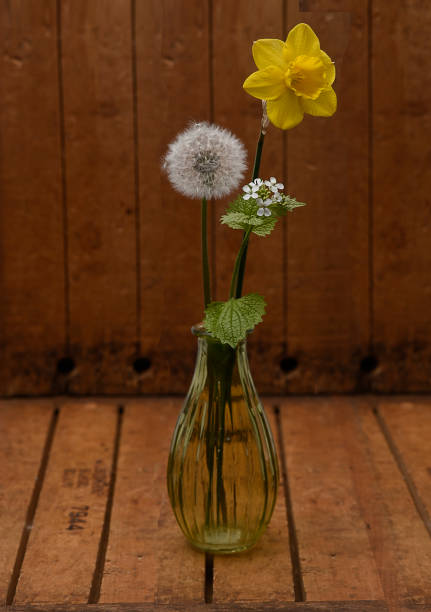 today i wandered through some fields with my dog. - garden decoration stock pictures, royalty-free photos & images