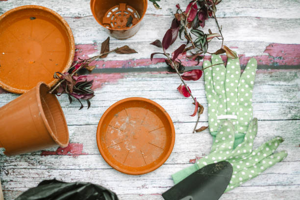 top view aragment of gardener stuff in rustic wooden table.apron, plants, scissors - garden decoration stock pictures, royalty-free photos & images