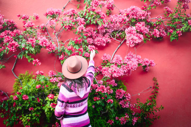tourist admiring bougainvillea flowers climbing on red wall, san miguel de allende, mexico - garden decoration stock pictures, royalty-free photos & images