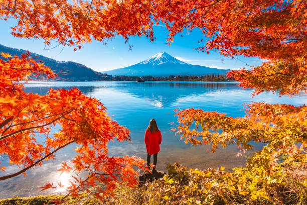 tourist admiring mt. fuji in autumn, japan - travel stock pictures, royalty-free photos & images