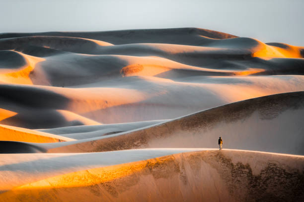 tourist on top of massive sand dunes at sunset - travel stock-fotos und bilder