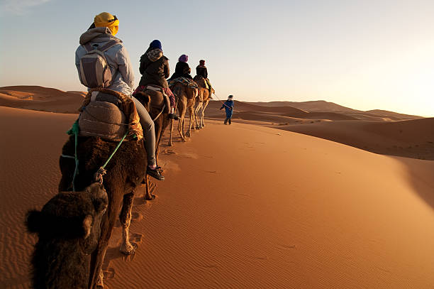 tourists on train of camels in sahara led by guide - travel stock pictures, royalty-free photos & images