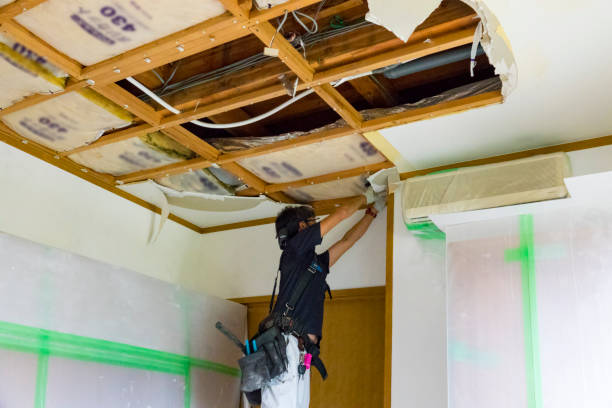 trabajador de la construcción tareas de hogar - home decoration fotografías e imágenes de stock