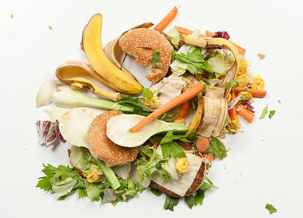 trash - food stock pictures, royalty-free photos & images