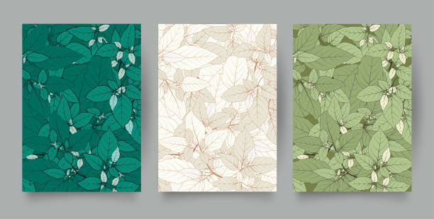 tropic pattern set. collection of tropical backgrounds in simple minimal flat style with jungle plants leaves, - garden decoration stock illustrations