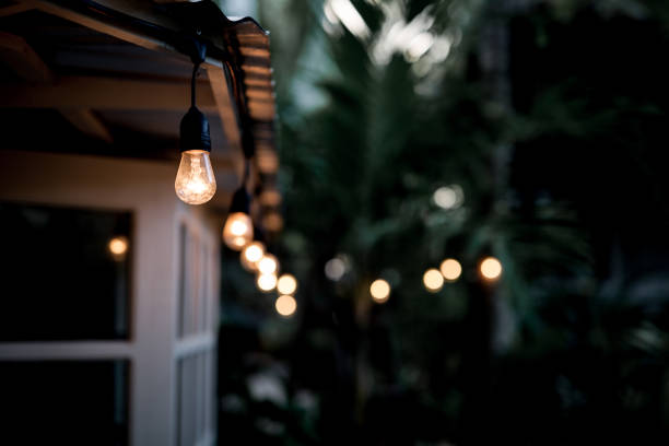 tropical garden - garden decoration stock pictures, royalty-free photos & images