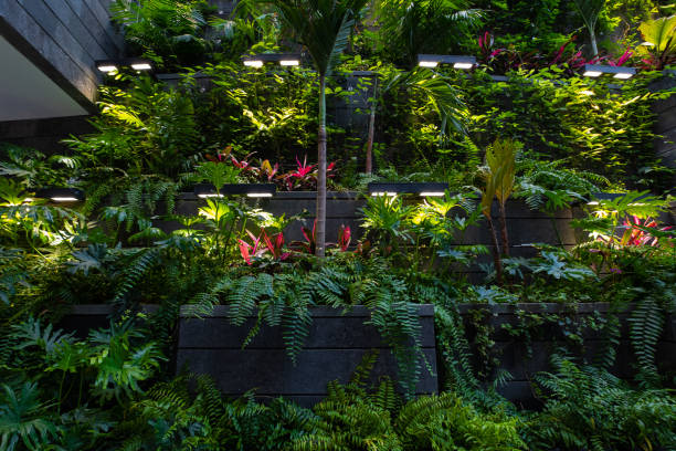 tropical rainforest foliage plants indoor. - garden decoration stock pictures, royalty-free photos & images