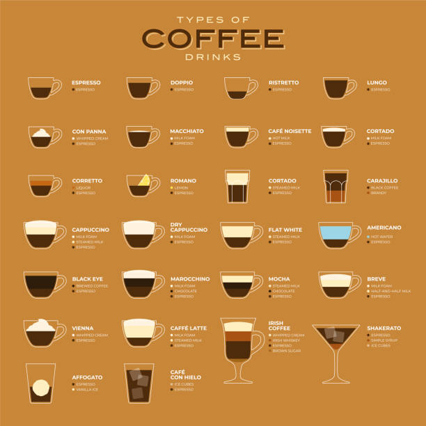 types of coffee vector illustration. infographic of coffee types and their preparation. coffee house menu. flat style. - coffee stock illustrations